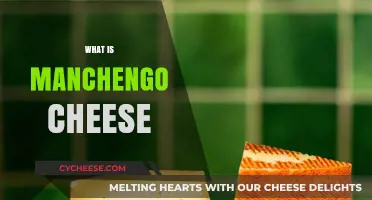Discovering Manchego Cheese: Origins, Flavor, and Culinary Uses Explained