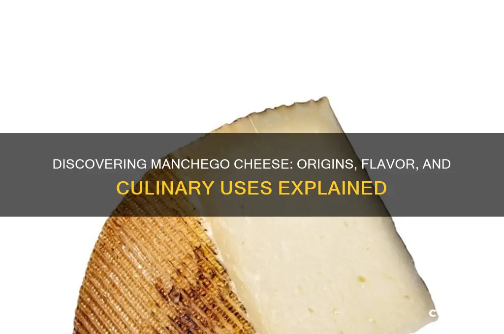 what is manchengo cheese
