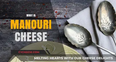 Discover Manouri Cheese: A Creamy Greek Delight and Its Uses