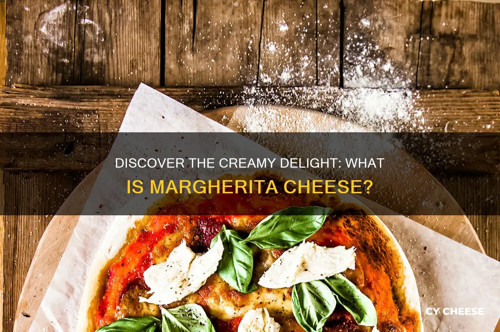 what is margherita cheese