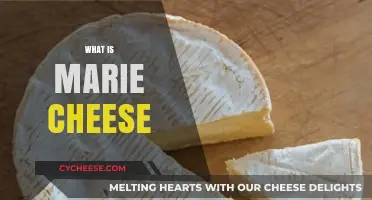 Marie Cheese Explained: Origins, Flavor, and Culinary Uses