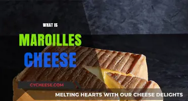 Discover Maroilles Cheese: France's Bold, Aromatic, and Historic Culinary Treasure