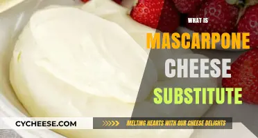 Creamy Alternatives: Best Mascarpone Cheese Substitutes for Your Recipes