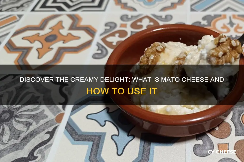 what is mato cheese