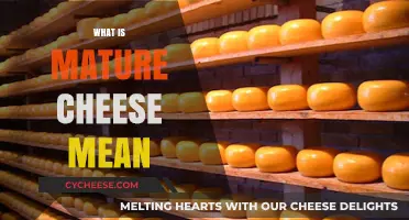 Understanding Mature Cheese: Aging Process, Flavor, and Texture Explained