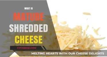 Understanding Mature Shredded Cheese: Flavor, Texture, and Culinary Uses