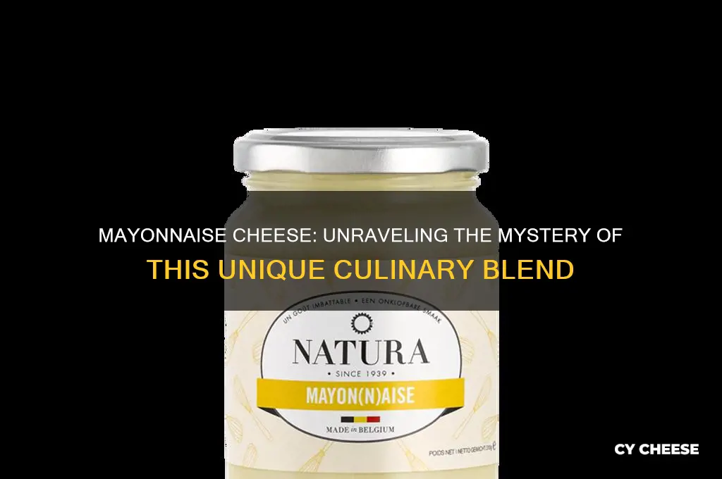 what is mayonnaise cheese