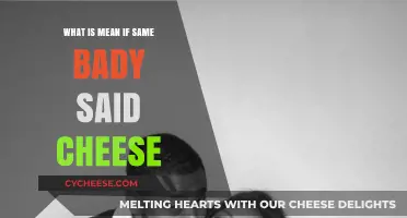 Understanding the Meaning Behind 'Say Cheese' in Photography and Culture