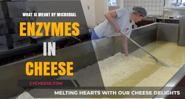 Microbial Enzymes in Cheese: Unlocking Flavor, Texture, and Quality