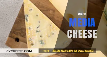 Understanding Media Cheese: Origins, Impact, and Cultural Significance Explained