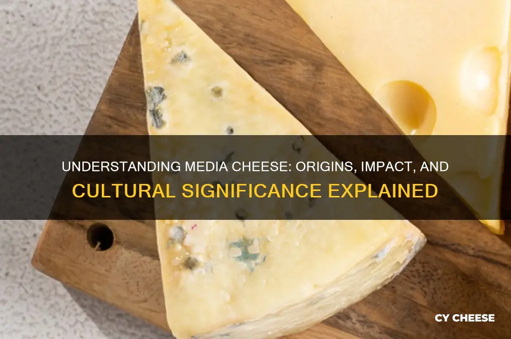 what is media cheese