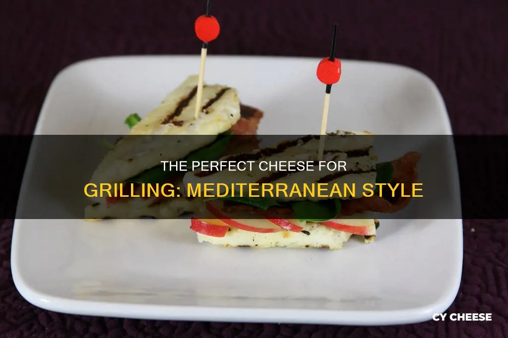 what is meditterranean grilling cheese
