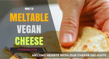 Discover Meltable Vegan Cheese: A Plant-Based Dairy Alternative