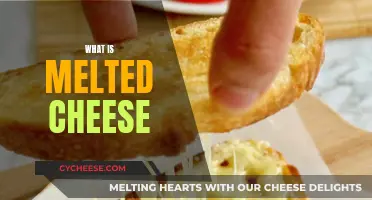 Cheese Fondue: Melting and Its Culinary Magic