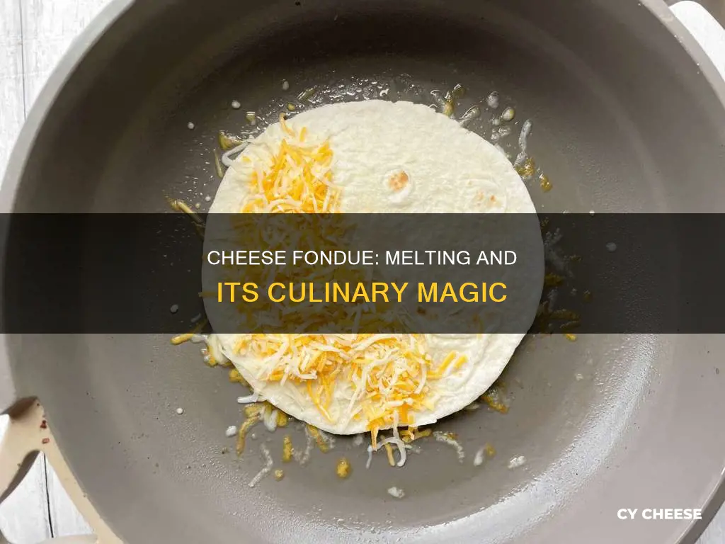 what is melted cheese