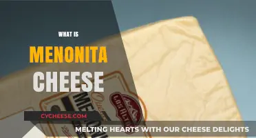 Discover the Rich Flavor and Tradition of Menonita Cheese