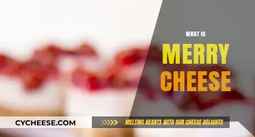 Discover the Delightful World of Merry Cheese: A Tasty Guide