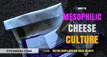 Understanding Mesophilic Cheese Culture: A Beginner's Guide to Artisan Cheesemaking