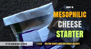 Understanding Mesophilic Cheese Starter: Essential Cultures for Artisan Cheese Making