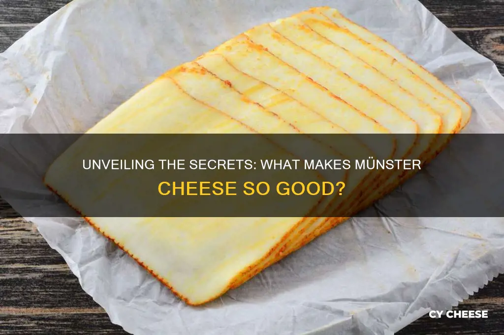 what is meunster cheese mad of