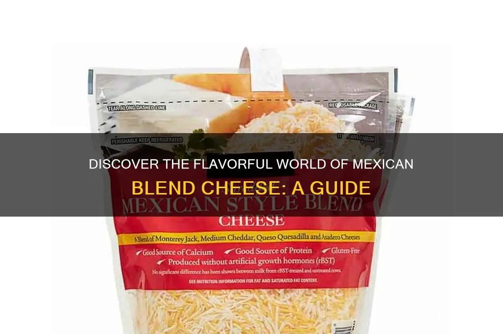 what is mexcican blend cheese