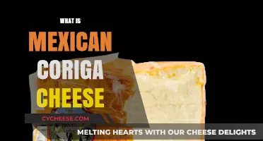 Discovering Mexican Coriga Cheese: Origins, Uses, and Unique Flavor Profile