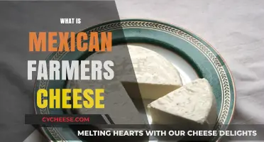 Discover Mexican Farmers Cheese: A Creamy, Versatile Culinary Delight
