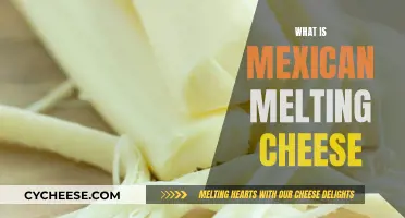 The Magic of Mexican Melting Cheese: A Guide