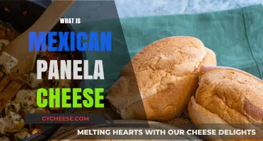 Discover Mexican Panela Cheese: Uses, Flavor, and Easy Recipes