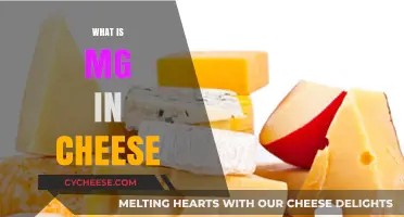 Understanding MG in Cheese: Definition, Role, and Impact on Quality