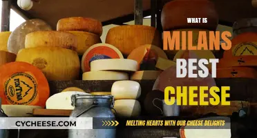 Milan's Most Delicious Cheeses: A Guide
