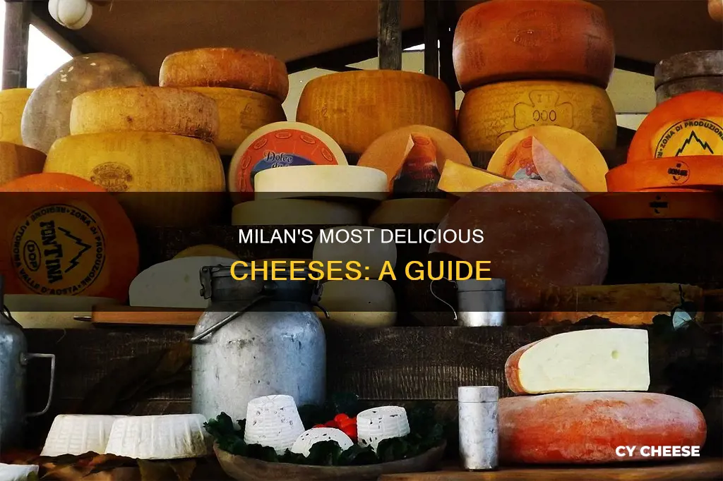what is milans best cheese