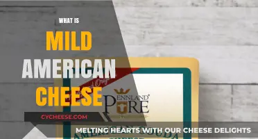 Understanding Mild American Cheese: Origins, Uses, and Flavor Profile