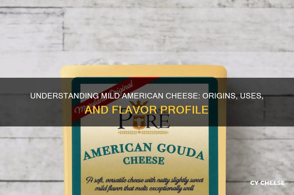 what is mild american cheese