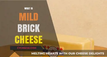 Discover the Creamy, Tangy Delight of Mild Brick Cheese