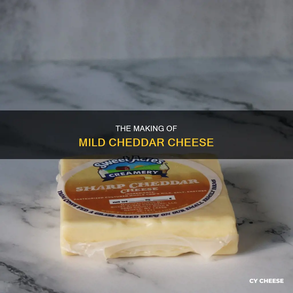 what is mild cheddar cheese made of