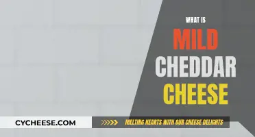 Mild Cheddar Cheese: A Beginner's Guide to This Classic