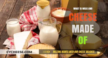 Unveiling the Secrets: Milk and Cheese Composition Explained