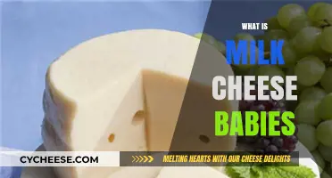 Milk, Cheese, and Babies: Understanding the Connection and Benefits