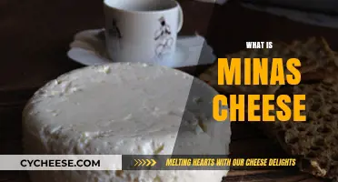 Discover the Rich Flavor and History of Minas Cheese