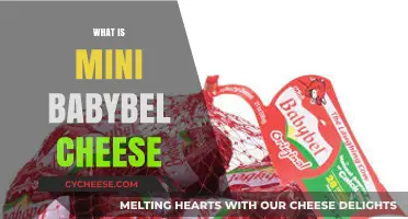 Discover Mini Babybel Cheese: Nutritious, Convenient, and Delicious Snack Option
