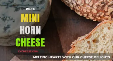 Discover the Unique Flavor of Mini Horn Cheese: A Guide