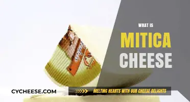 Discover Mitica Cheese: A Spanish Artisanal Delight Explained