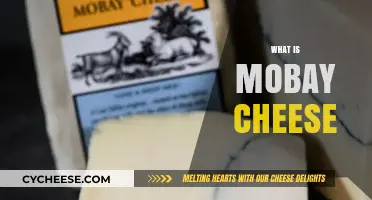Discover Mobay Cheese: A Unique Blend of Flavors and Origins