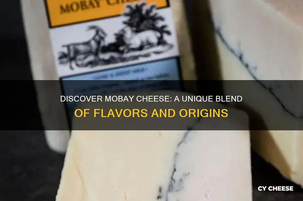 what is mobay cheese