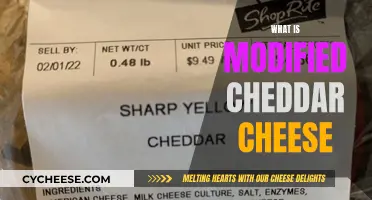 Unveiling the Secrets of Modified Cheddar: A Cheesy Adventure