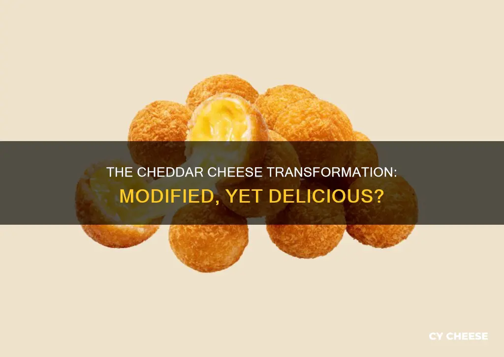 what is modified cheddar cheese
