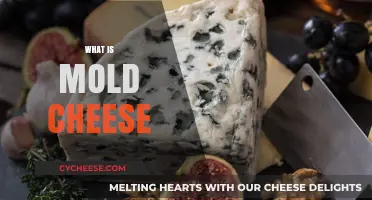 Understanding Mold Cheese: Types, Uses, and Health Benefits Explained
