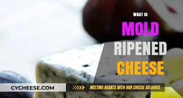 Understanding Mold-Ripened Cheese: Types, Flavor, and Production Process