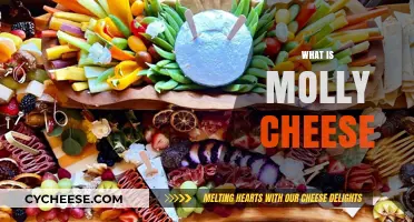 Discovering Molly Cheese: Origins, Flavor Profile, and Culinary Uses
